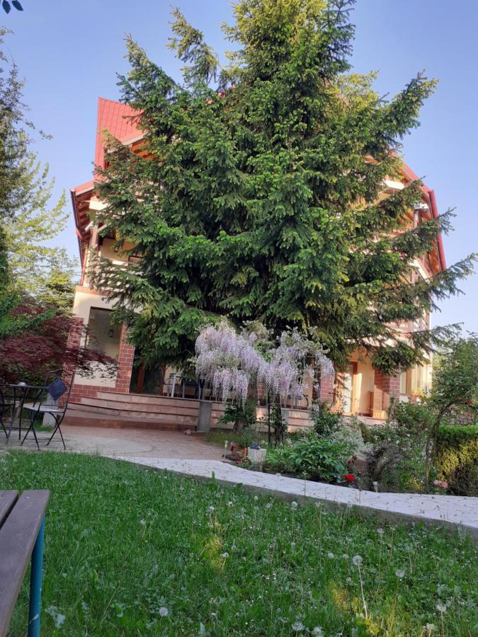 Casa Stefandra Hotel Breaza  Exterior photo